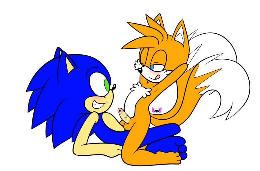 amatsucat anal balls blue_fur duo furry hedgehog male male_only mammal penis sonic_(series) sonic_the_hedgehog sonic_the_hedgehog_(series) sonic_the_hedgehog_2 tails yaoi