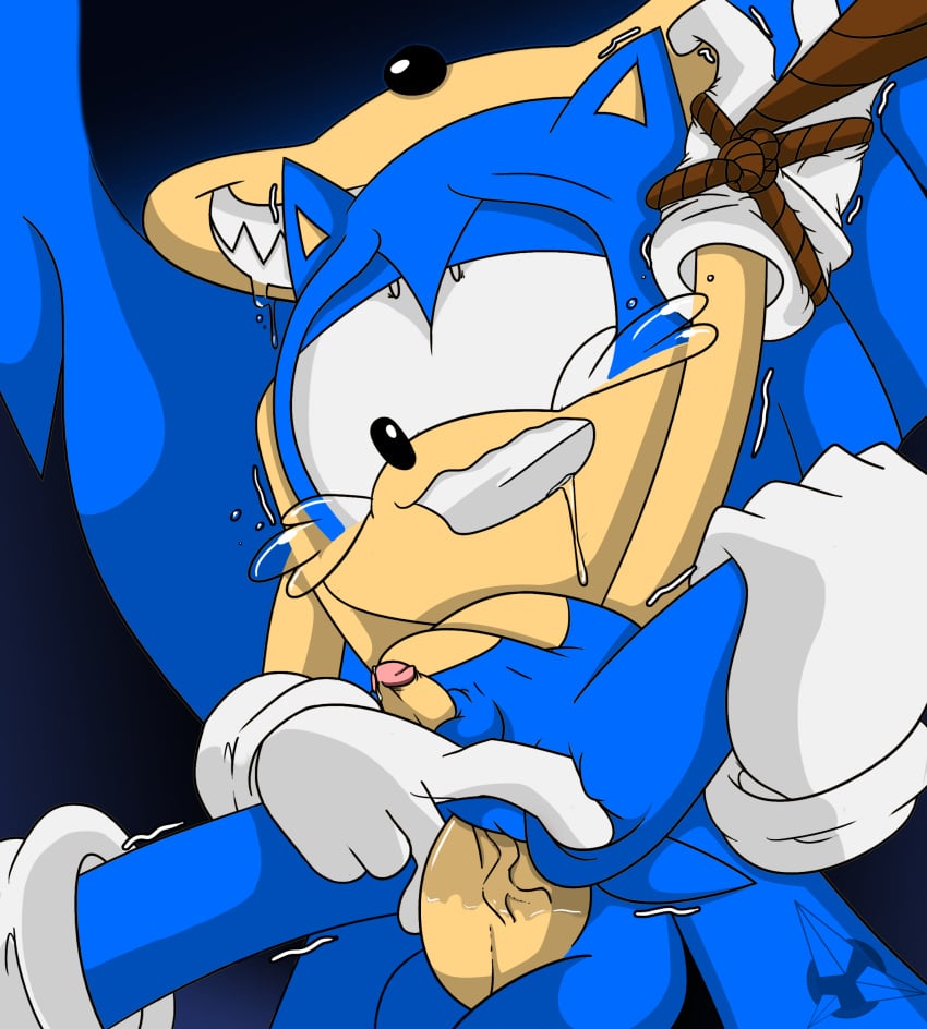 amatsucat anal anthro anus balls blue_fur bound classic_sonic furry gay hedgehog male male/male male_only mammal penis precum rape sega sonic_(series) sonic_the_hedgehog tears