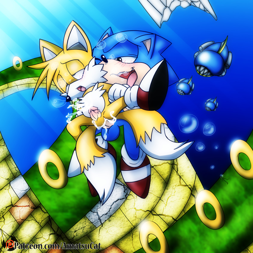 2boys air_bubbles amatsucat anal anthro asundercat balls blue_fur bubbles classic_sonic classic_tails cum cum_in_ass drowning fox furry hedgehog interspecies lake male male/male male_only mammal miles_tails_prower penis sega sex sonic_(series) sonic_the_hedgehog sonic_the_hedgehog_(series) sonic_the_hedgehog_2 underwater underwater_sex water yaoi