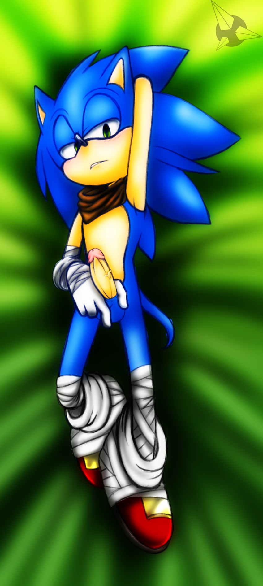 amatsucat balls blue_fur dakimakura furry hedgehog looking_at_viewer male_only mammal penis sonic_(series) sonic_boom sonic_the_hedgehog uncensored