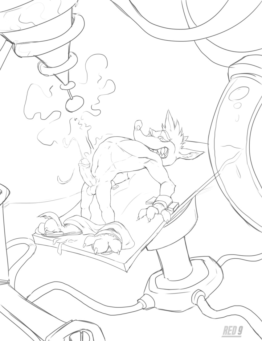 Crash Bandicoot (Crash (Series)) Rule 34 Image