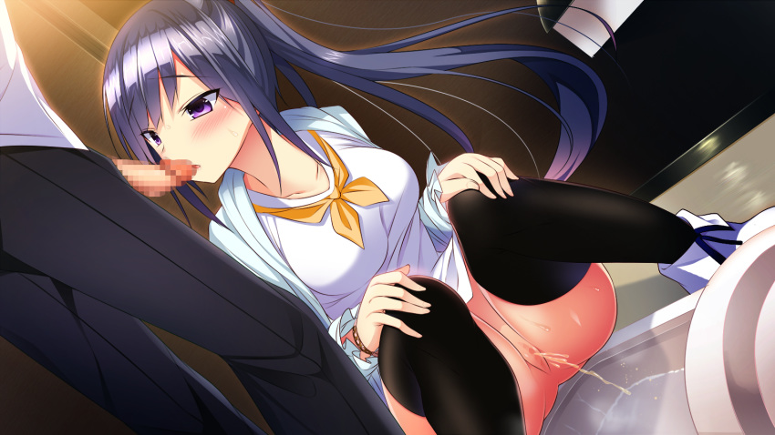 1boy black_legwear blue_hair bracelet breasts censored dutch_angle embarrassed female frilled_sleeves frills game_cg goshujin-sama_maidfuku_o_nugasanaide. hands_on_own_knees highres imminent_fellatio indoors jewelry kazu_kakao kurosaki_rika long_hair looking_at_penis looking_away mosaic_censoring neckerchief open_mouth pants peeing penis ponytail purple_eyes pussy shirt shoes solo_focus squat_toilet squatting standing sweat thighhighs tied_hair toilet_paper toilet_use urine very_long_hair white_shirt white_shoes