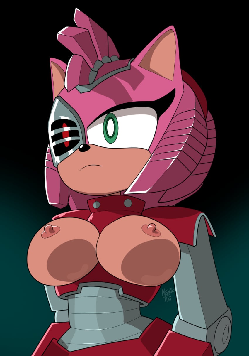 Amy Rose (Netflix) Rule 34 Image