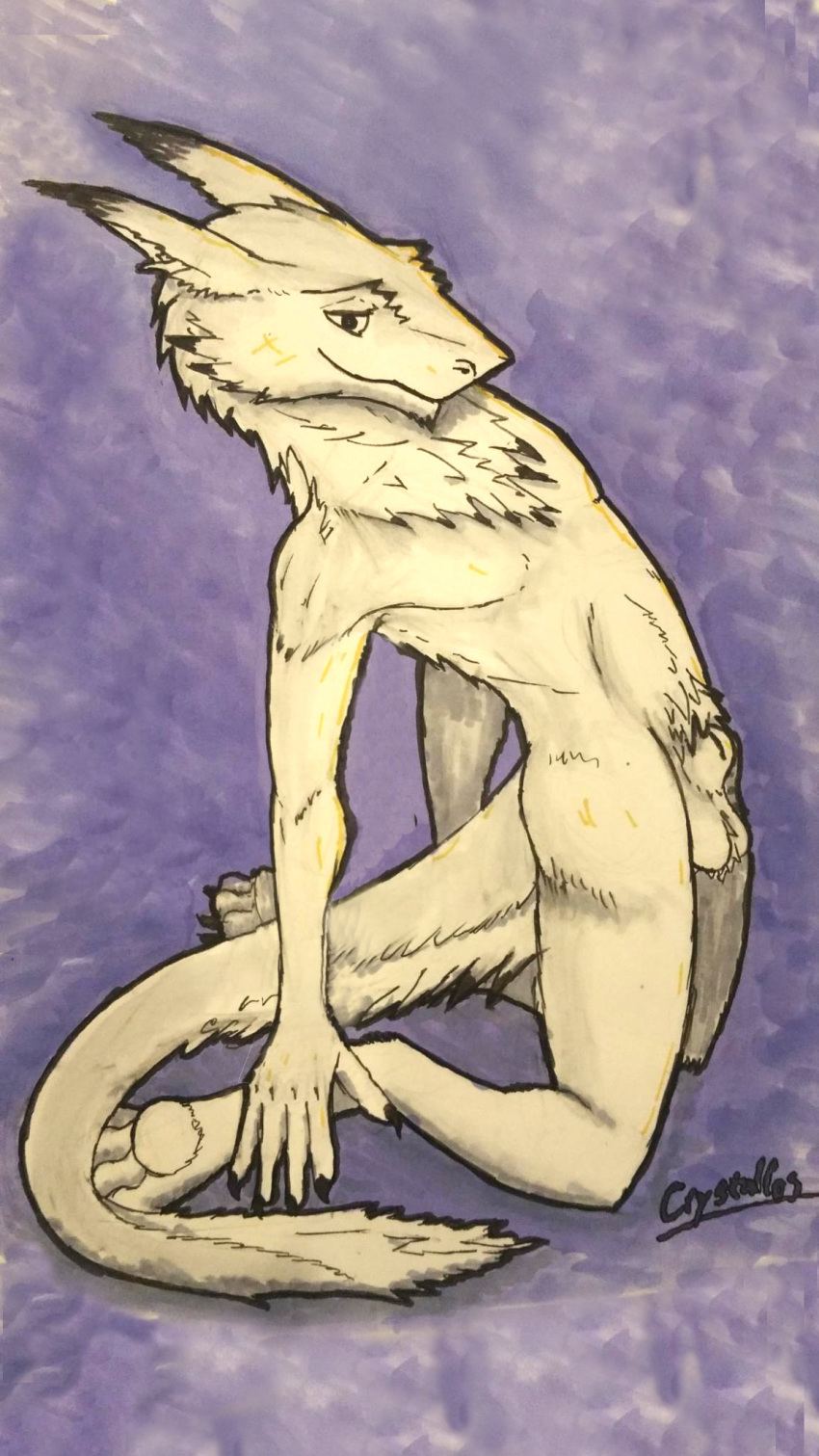 2016 animal_genitalia balls crystallos fur kneeling looking_at_viewer male markers nude sergal sheath simple_background solo traditional_media_(artwork) white_fur