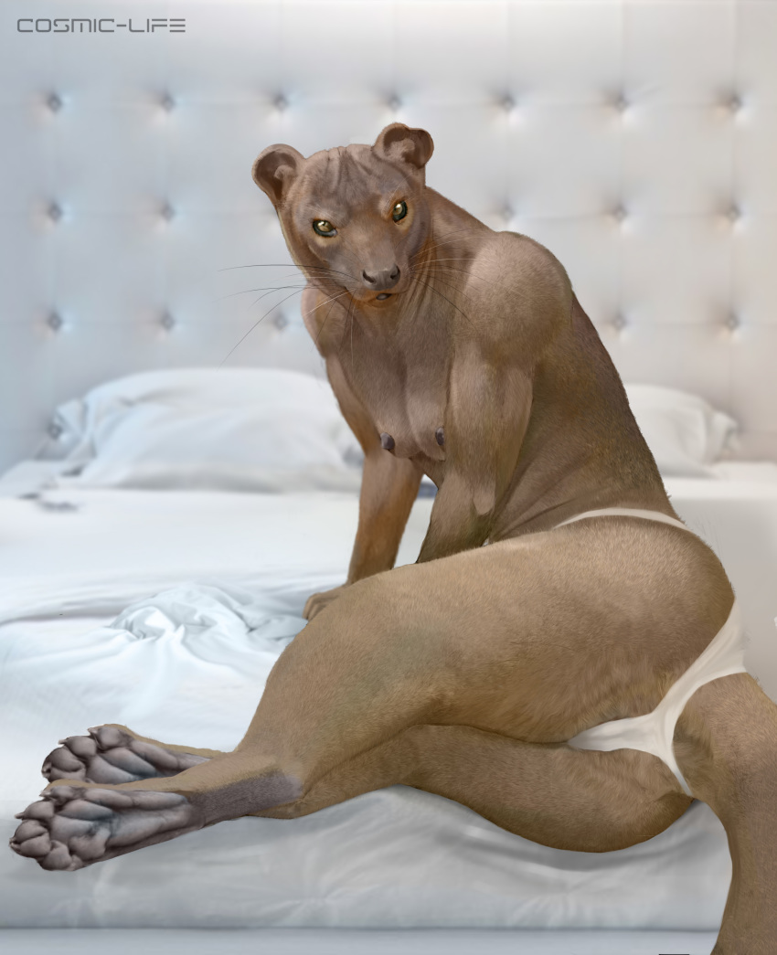 angry anthro ass bed breasts brown_fur clothed clothing cosmiclife female fossa fur looking_at_viewer mammal pinup pose presenting sitting topless whiskers