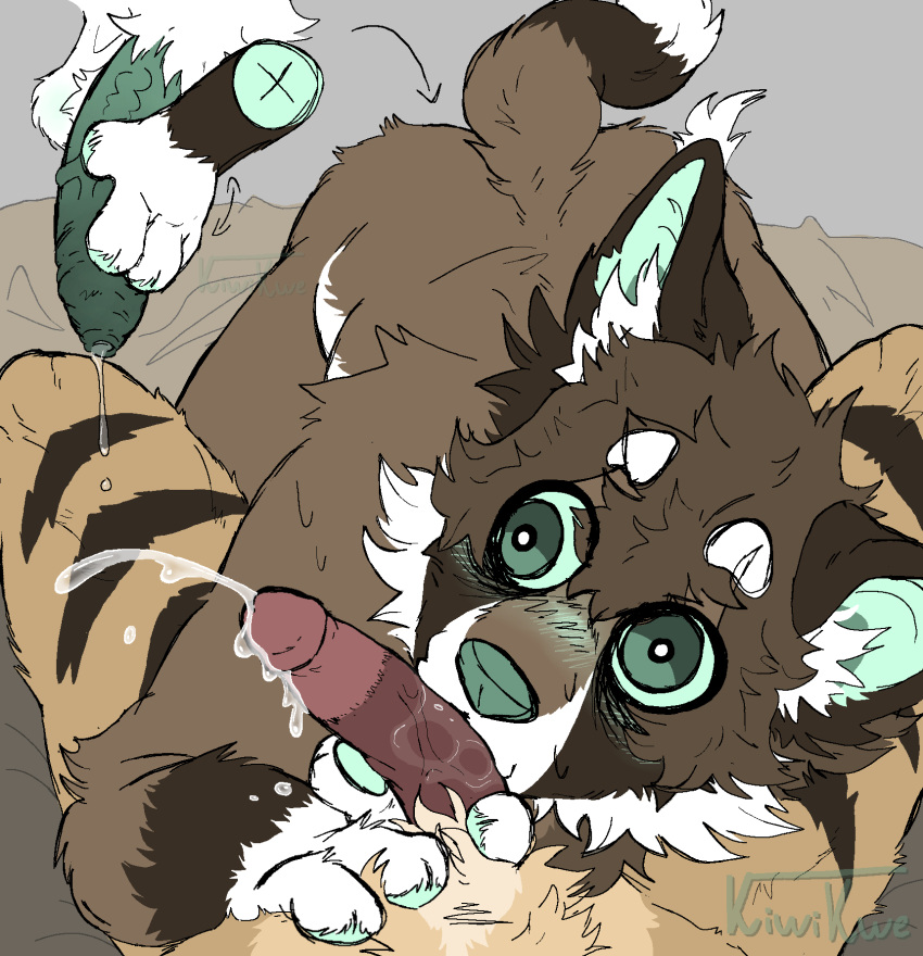 Caracal (Genus) Rule 34 Image