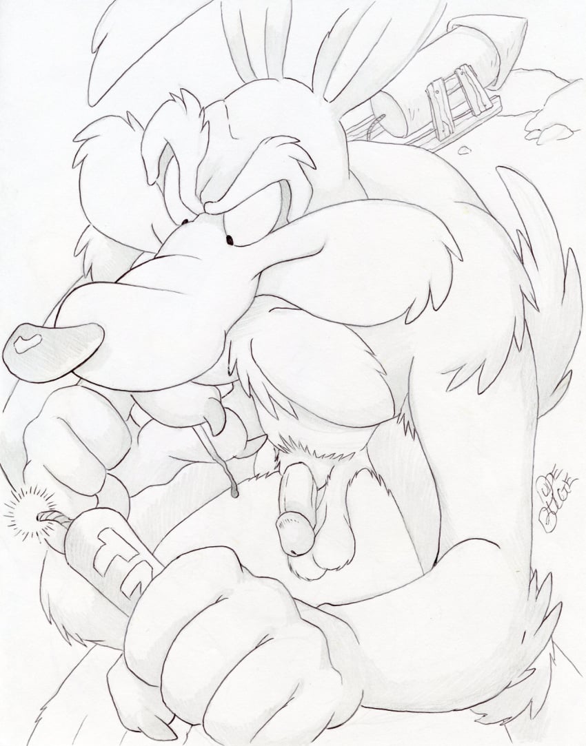 1boy anthro balls canine coyote dudebulge flaccid greyscale high-angle_view humanoid_penis looney_tunes male male_only mammal monochrome nude pencil_(artwork) penis signature smooth_fur solo toony traditional_media_(artwork) warner_brothers wile_e._coyote