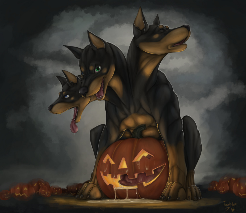 2016 anatomically_correct anatomically_correct_penis animal_genitalia animal_penis blue_eyes canine canine_penis cerberus cum doberman feral food fruit green_eyes halloween heterochromia hi_res holidays jack_o'_lantern knot looking_at_viewer male male_only mammal multi_head open_mouth pattarchus penis pumpkin solo tochka tongue tongue_out