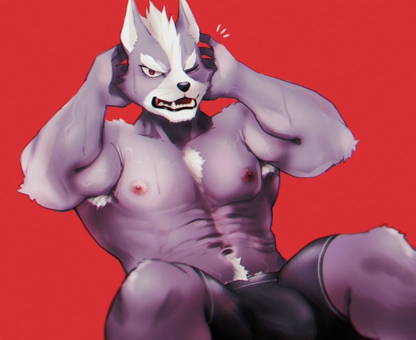 abs anthro armpit_hair big_pecs black_nose bodily_fluids body_hair boxer_briefs bulge canid canine canis clothing detailed_bulge exercise fangs fur genital_outline grey_body grey_fur hands_behind_head hi_res k0bit0wani kemono looking_at_viewer male mammal multicolored_body multicolored_fur muscular muscular_anthro muscular_male nintendo nipples pecs penis_outline red_background red_eyes simple_background sit-up solo star_fox sweat sweatdrop teeth two_tone_body two_tone_fur underwear white_body white_fur wolf wolf_o'donnell workout