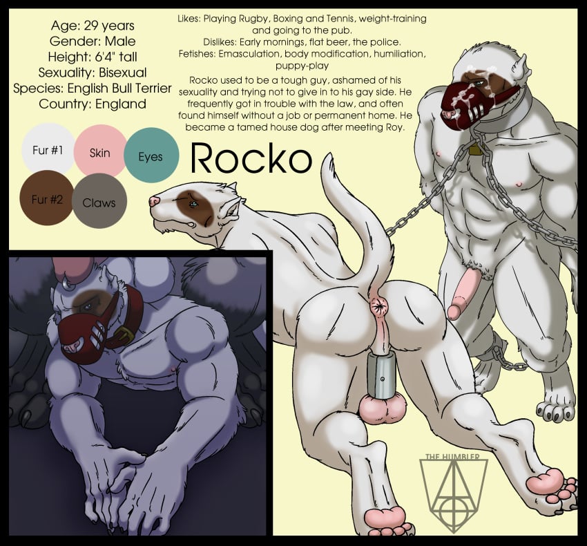 anthro anus ball_stretcher bondage bondage bound bull_terrier canine canine color_swatch digitigrade english_text mammal model_sheet muscular muzzle_(object) muzzled nude penis puffy_anus signature standing text toothpasta