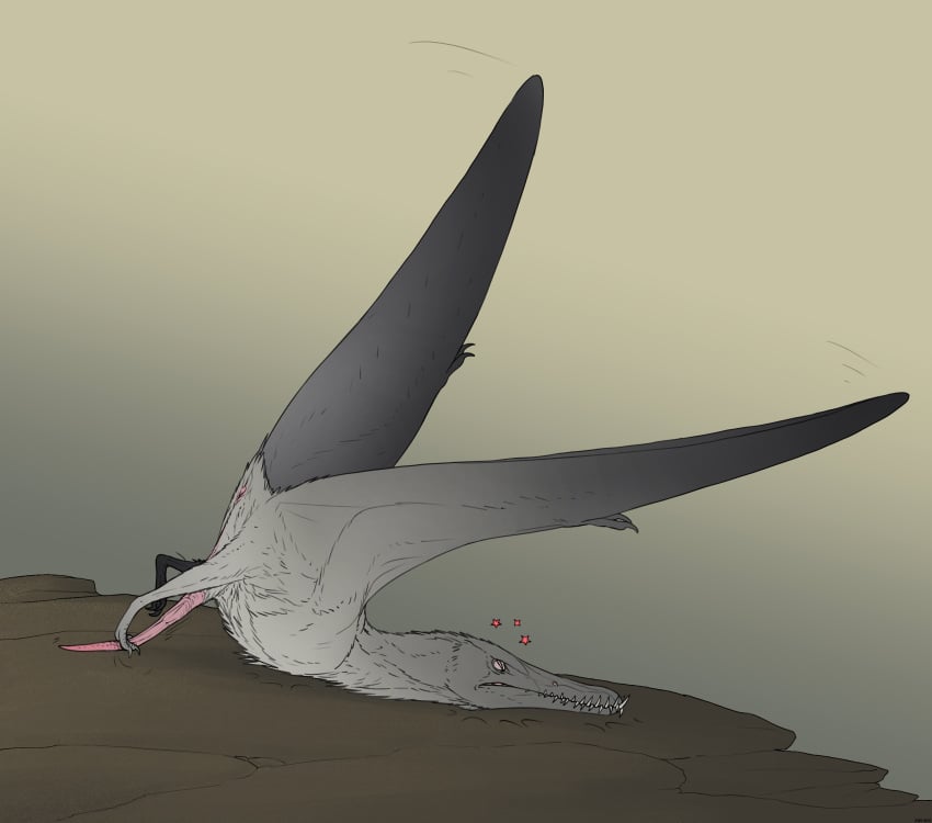 absurd_res ambiguous_species anus ass_up belly black_wings closed_eyes countershading detailed_background digital_media_(artwork) fail falling_over feathers feet feral foot_fetish foot_on_penis foot_play frown genitals gradient_background grey_body half-erect hi_res long_penis male membrane_(anatomy) membranous_wings motion_lines nictitating_membranes pain penis pink_anus pink_penis prehistoric_species pterosaur reptile rock scalie simple_background small_tail solo spread_wings tail take_off tapering_penis teeth tripping white_belly wings zw3