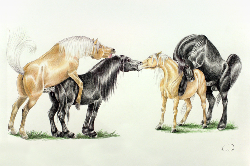 2014 anatomically_correct anatomically_correct_anus anatomically_correct_penis animal_genitalia animal_penis anus balls bisexual black_anus black_balls black_fur black_mane black_penis black_tail boobcat brown_eyes closed_eyes colored_pencil_(artwork) cum cum_inside dripping equine equine_penis female feral feral_on_feral from_behind_position fur grass group group_sex hooves horse horsecock kissing male male_penetrating mammal mane medial_ring mounting penetration penis pink_tongue puffy_anus quadruped raised_tail saliva sex signature simple_background straight tan_fur tongue tongue_out traditional_media_(artwork) underhoof vaginal_penetration white_background white_mane white_tail yuri