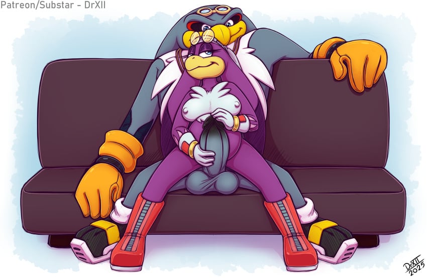 2020 albatross anthro avian balls beak belly big_belly bird black_and_white breasts clothing digital_media_(artwork) drxii duo erection eyewear feathers female genitals gloves handwear hi_res hirundinid kerchief male male/female monochrome mostly_nude nipples non-mammal_balls non-mammal_breasts non-mammal_nipples oscine passerine penis pregnant procellariiform sega sex simple_background size_difference sonic_(series) sonic_riders sonic_the_hedgehog_(series) storm_the_albatross swallow_(bird) wave_the_swallow white_background