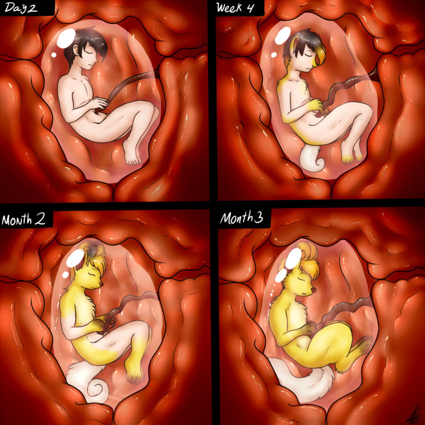 1boy 1girls alternate_color ass canine closed_eyes feet female feral fetus fox fur furry hair human internal interspecies male mammal nintendo original_character paws placenta pokemon pokemon_(species) pregnant regression shikaro shiny_pokemon shiny_vulpix size_difference straight tail text transformation umbilical_cord unbirthing uterus video_games vore vulpix