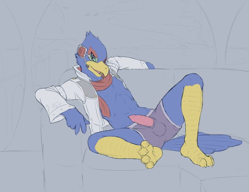 1boy anthro avian bird clothing cobaltsynapse erection falco_lombardi male male_only nintendo penis solo star_fox underwear video_games