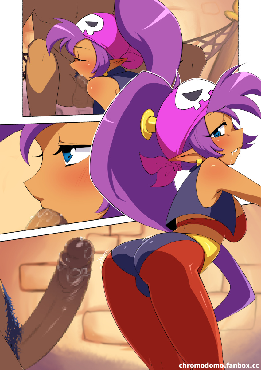 Shantae (Character) Rule 34 Image