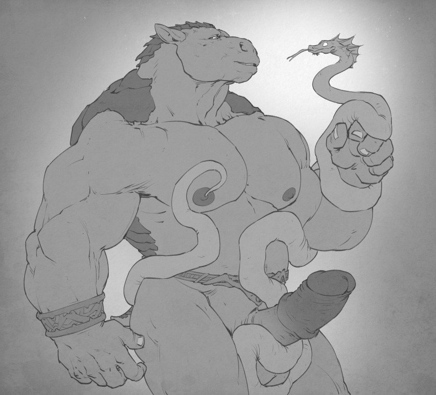 anthro balls belt biceps big_muscles bracelet breath_of_fire coiling duo erection eye_contact forge_(artist) forked_tongue glans greyscale jewelry male male_only mammal medial_ring monochrome muscular nipples nude pangolin pecs penis portrait rand_(breath_of_fire) reptile retracted_foreskin scalie size_difference smile snake solo_focus standing story_at_source three-quarter_portrait tongue uncut video_games