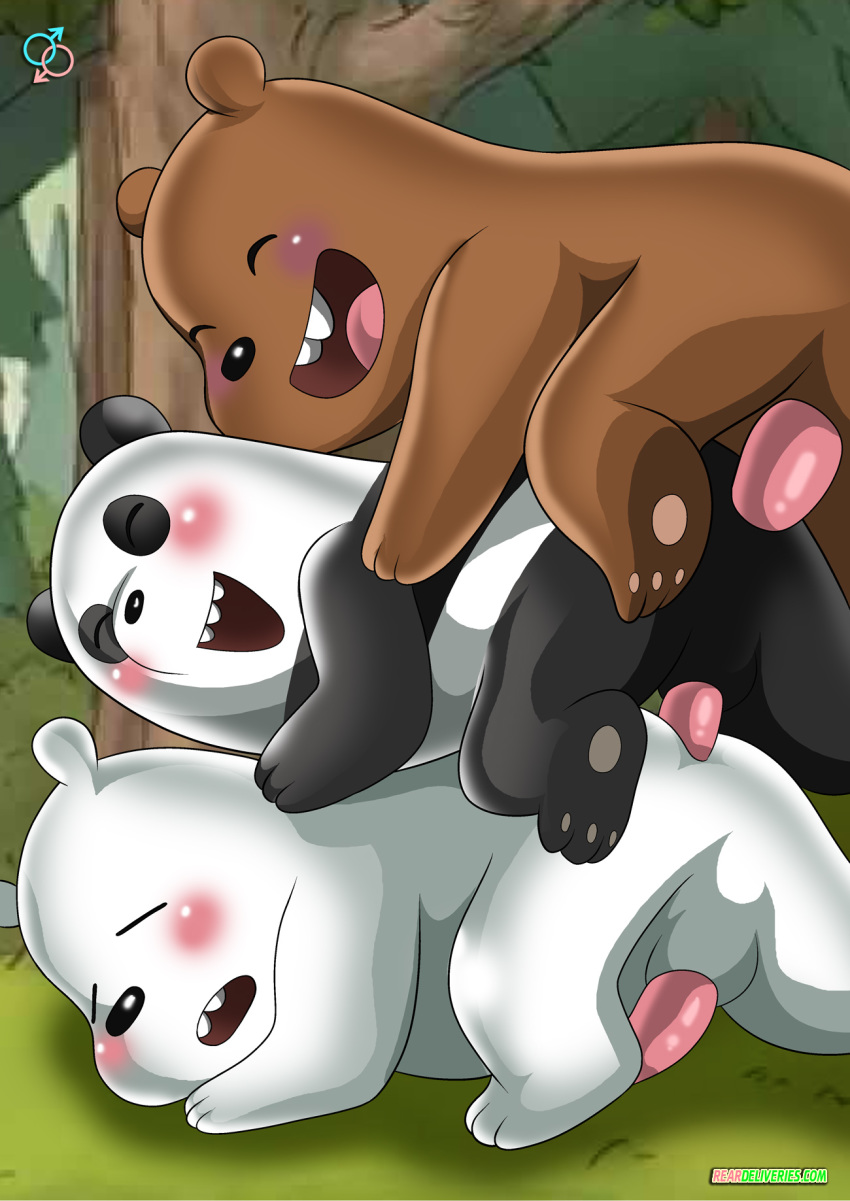 Grizzly (Wbb) Rule 34 Image