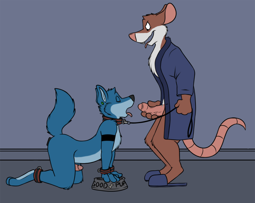 3_toes 4_fingers all_fours anal anal_sex ankle_cuffs anthro arched_back ass bathrobe black_nose blue_fur blue_hair blue_tail bone bowl brown_fur brown_hair buckteeth cadmus canine cheek_tuft chest_tuft closed_eyes clothed clothing collar countershading dildo domination duo ear_piercing ears_back erection eyebrows flippers food_bowl foreskin full-length_portrait fur glans hair half-closed_eyes holding_leash holding_object holding_penis humanoid_penis imminent_oral inner_ear_fluff inside interspecies leash leather_cuffs looking_down male male_domination male_only mammal multicolored_fur nude on_floor one_eye_closed open_mouth open_smile oral oral_sex partially_clothed penetration penis petplay piercing pink_nose pink_penis pink_tail pink_tongue portrait puppyplay raised_tail rat_tail retracted_foreskin robbie robbie_(rotten_robbie) robe rodent roleplay rotten_robbie sex_toy shackles short_hair shoulder_tuft side_view smile standing submissive teeth toes tongue tongue_out tuft two_tone_fur uncircumcised uncut white_fur wolf wrist_cuff