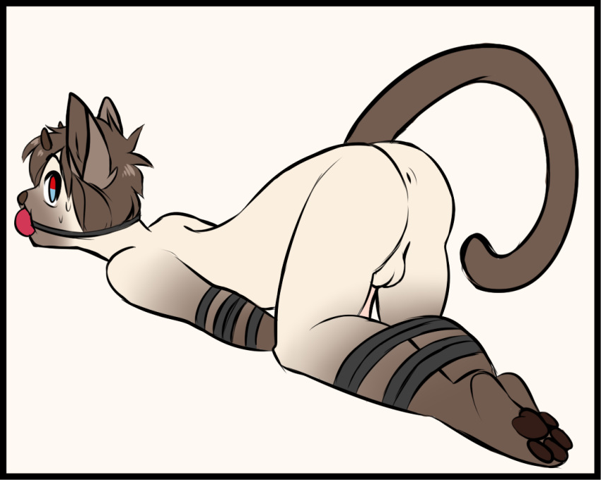 1boy 4_toes all_fours anthro anus backsack ball_gag balls bound brown_fur brown_hair feline fur gag gagged grey_background hair horn looking_back male male_only mammal pawpads simple_background solo sweat toes white_fur yukiin