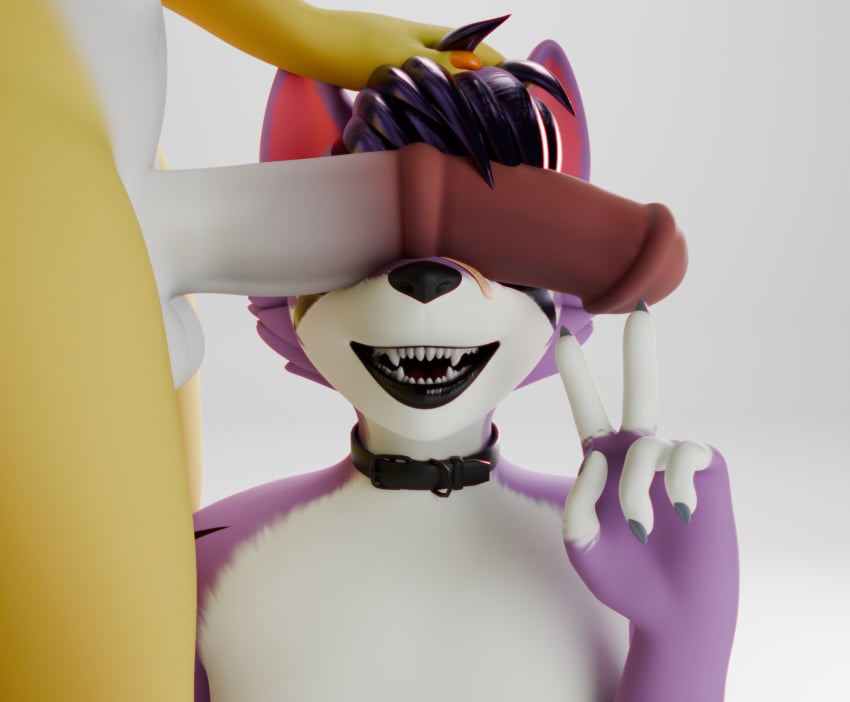 3d_(artwork) anthro blender_cycles can't_see_the_haters canid canine canis collar digital_media_(artwork) domestic_dog genitals gynomorph_(lore) haolde haolde_(character) hi_res male mammal meme open_mouth penis penis_on_face smile smutty_(n'hornyxvi)