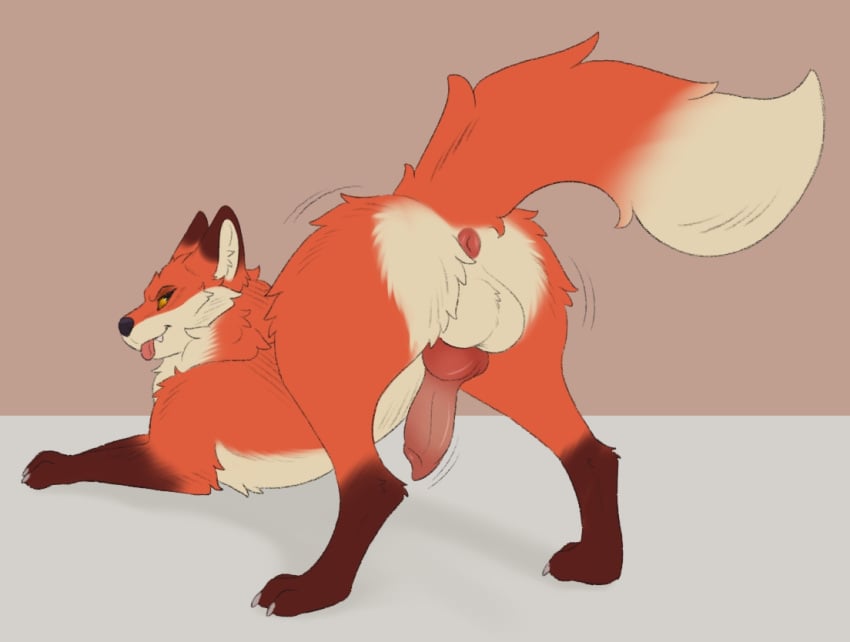 anatomically_correct anatomically_correct_genitalia anatomically_correct_penis animal_genitalia animal_penis anus ass balls brown_body canid canine canis digital_media_(artwork) dreamworks erection ertonhin feral fink_(the_wild_robot) fluffy fluffy_tail fox fur genitals knot knotted_penis leg_markings looking_at_viewer looking_back male mammal markings orange_body orange_fur paws penis simple_background smile socks_(marking) solo tail teeth the_wild_robot tongue tongue_out true_fox universal_pictures universal_studios white_body white_fur yellow_eyes