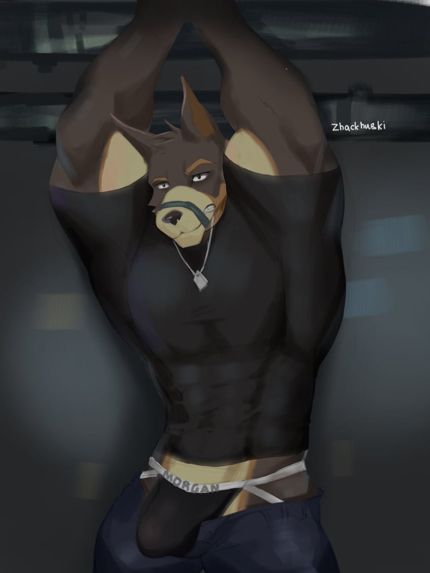 2023 angry anthro barazoku basement black_clothing black_shirt black_topwear bondage bondage bottomwear bound bulge canid canine canis clothed clothing digital_media_(artwork) dog_tags domestic_dog gag gagged hi_res jockstrap male mammal multicolored_body muscular muscular_anthro muscular_male open_bottomwear open_clothing open_pants pants raised_arm shirt solo topwear two_tone_body underwear zhackhuski_(artist)