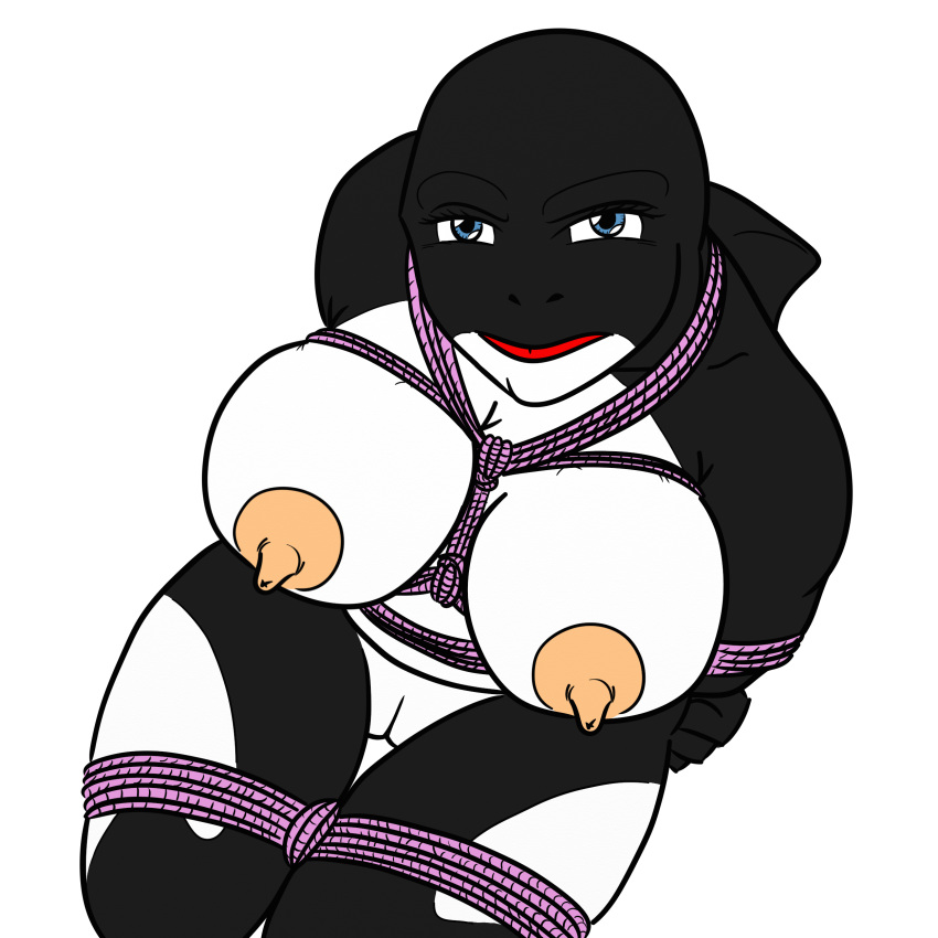 bondage bondage4everyone bound cetacean chubby female killer_whale orca pink_rope ropes sitting tied