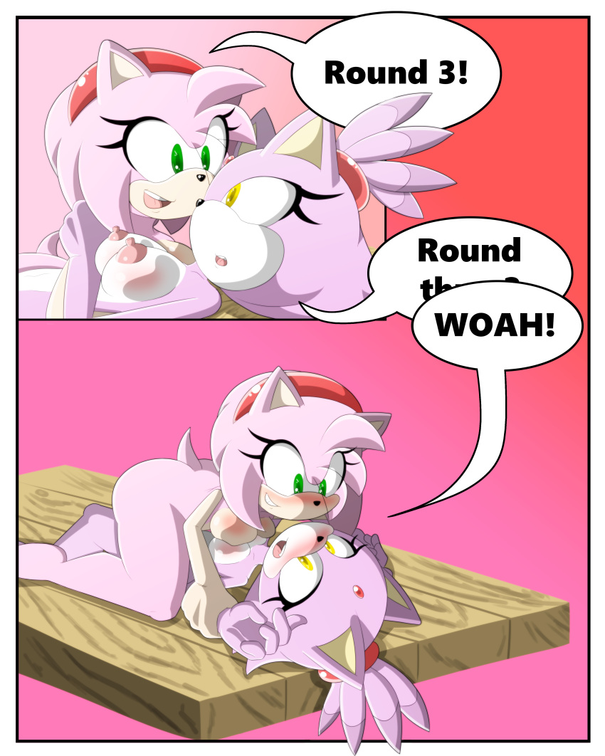 2girls amy_rose anthro blaze_the_cat color comic dialogue duo english_text feline female female_only furry furry_only hedgehog mammal naked nude part_of_a_set sandunky sega short_hair sonic_(series) sonic_the_hedgehog_(series) tagme text uncensored yuri