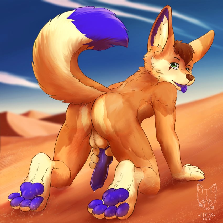 1boy anthro balls canine desert edesk fennec fox fur hair male male_only mammal original_character paws penis solo