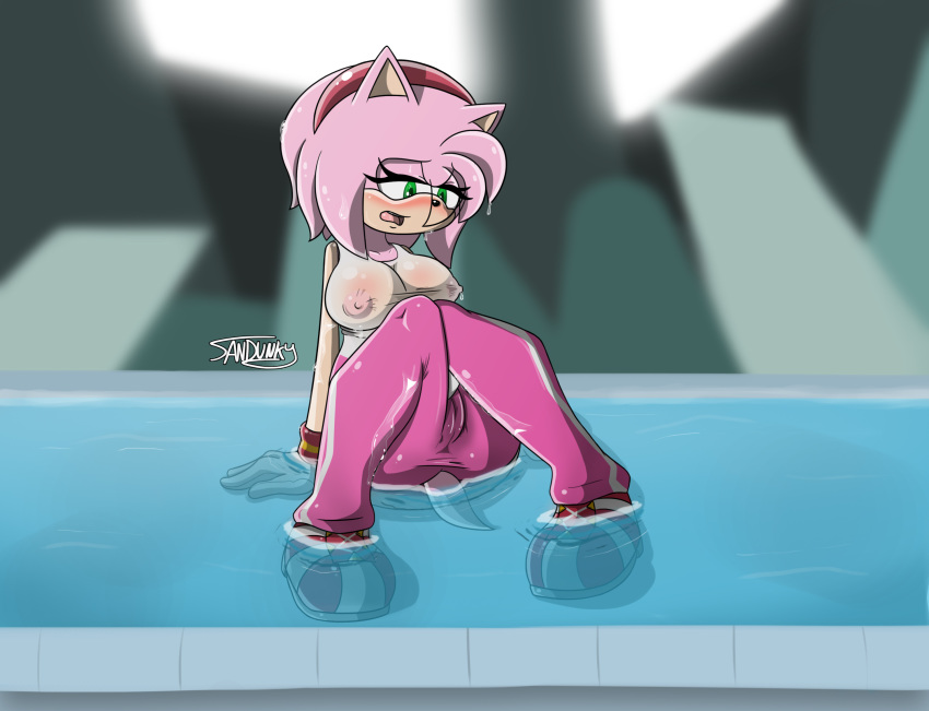 amy_rose anthro areola big_breasts breasts cameltoe erect_nipples female hedgehog mammal nipples pink_hair sandunky solo sonic_(series) sonic_the_hedgehog_(series) water wet_clothes wet_pants