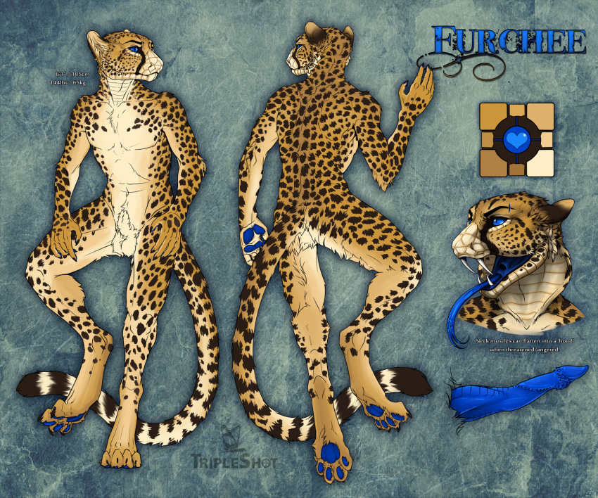 Furchee Rule 34 Image