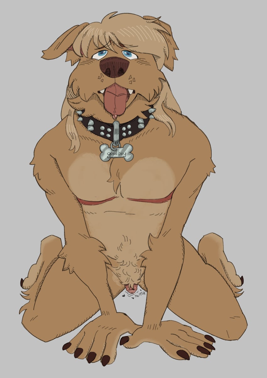Trans (Lore) Rule 34 Image