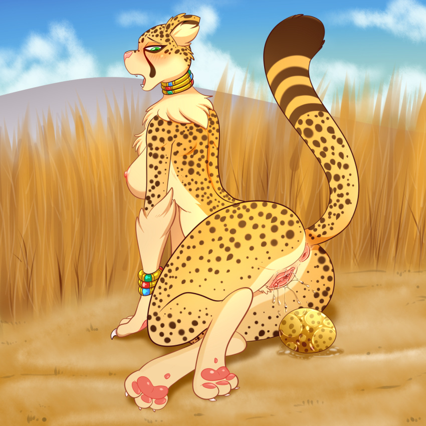 2018 anthro anus ass breasts cheetah digital_media_(artwork) egg egg_laying feline female hi_res lonbluewolf looking_back mammal nipples pawpads paws pussy pussy_juice savanna solo thick_thighs