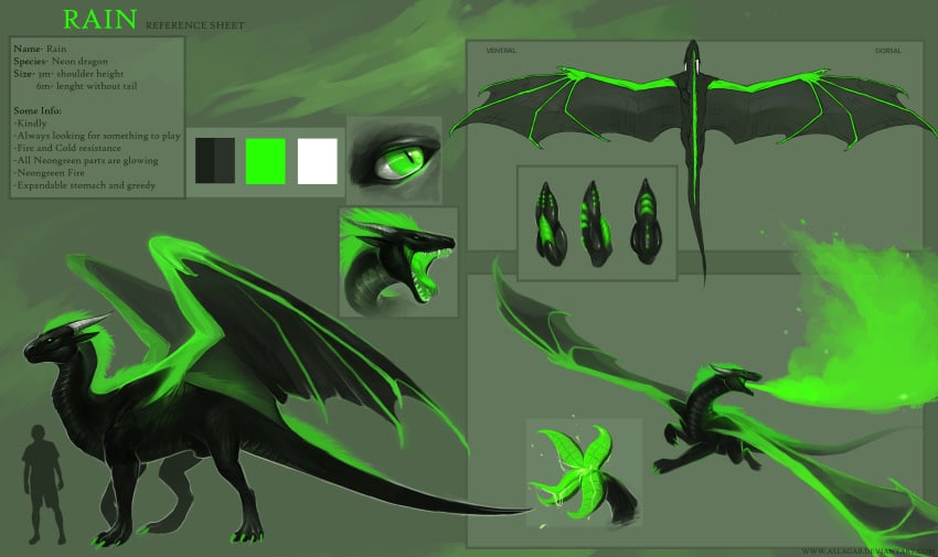 2016 allagar claws dragon feral fire green_eyes hair hi_res horn knot male model_sheet nude open_mouth penis raindragon scales scalie simple_background smile solo standing tail_mouth teeth text tongue tongue_out wings