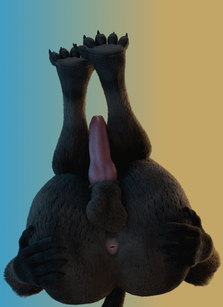 animal_genitalia anthro anus balls erection genitals guardians_of_the_galaxy hi_res hybrid_genitalia hybrid_penis knot knotted_penis legs_up low-angle_view male mammal marvel no-name-no-problem penis presenting procyonid raccoon rocket_raccoon sheath solo