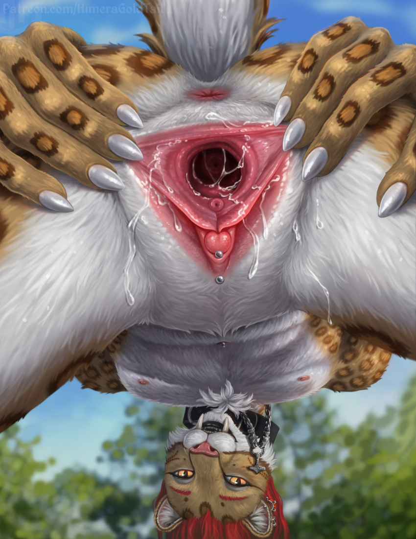 5_fingers andromorph anthro anus areola ashnu big_clitoris bodily_fluids brown_body brown_fur butt cervix claws clitoral_hood_piercing clitoris close-up collar collar_only ear_piercing felid fingers fur genital_fluids genital_piercing genitals hair hi_res himeragoldtail internal intersex looking_at_viewer mammal markings mjolnir_necklace navel nipples nude open_mouth orange_eyes piercing pink_anus pink_areola pink_nose pink_vulva prehistoric_species presenting presenting_cervix presenting_vulva pupils red_hair ring_piercing saber-toothed_tiger slit_pupils solo spots spotted_body spotted_fur spread_legs spread_vulva spreading standing tail urethra vaginal_fluids vulva vulva_piercing white_body white_claws white_fur