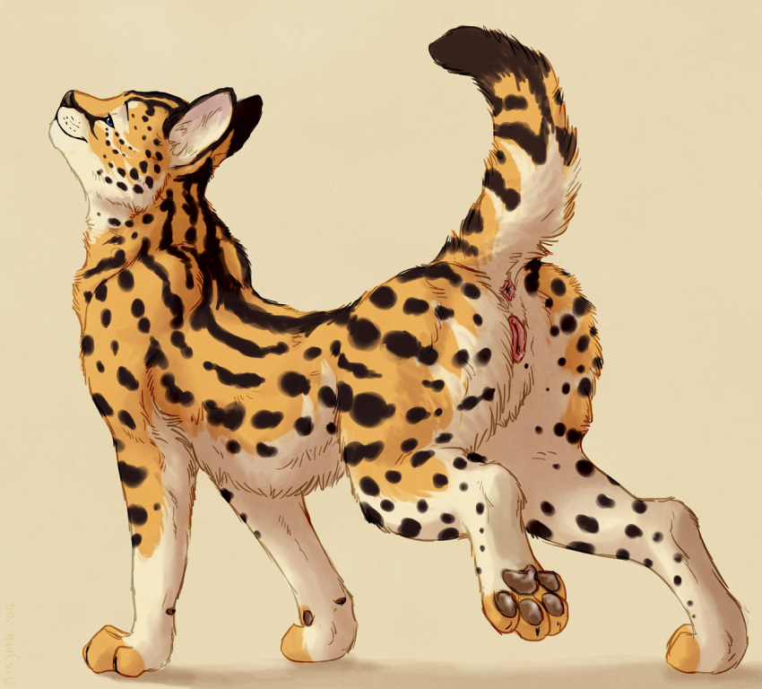 2016 Rule 34 Image