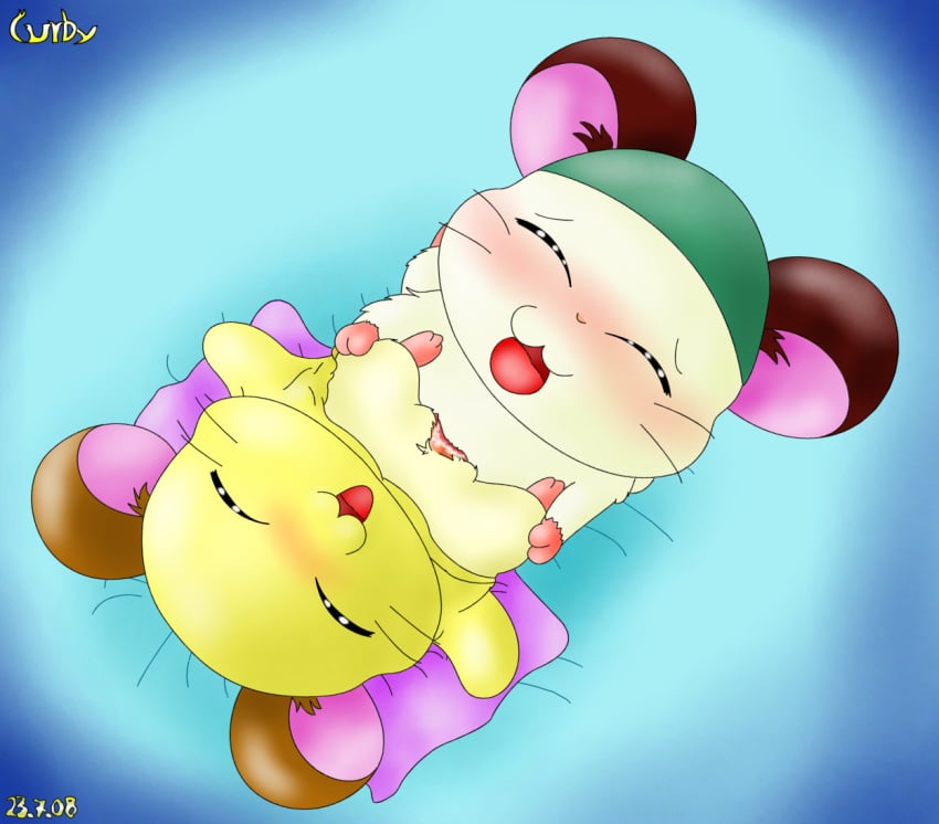 2008 bed blush cappy_(hamtaro) closed_eyes cum curby duo female feral fur hamster hamtaro_(series) hi_res male mammal open_mouth penelope_(hamtaro) penetration penis pillow pussy rodent sex simple_background straight tongue vaginal_penetration