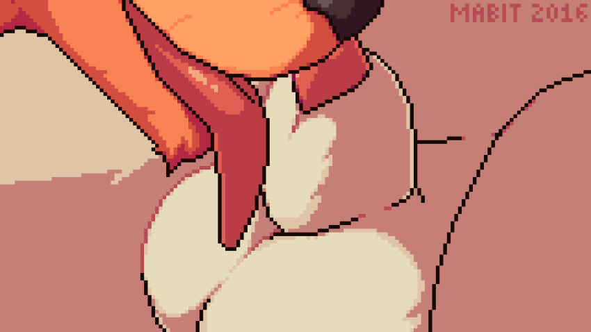 1boy 2016 alternate_color ambiguous_gender animal_genitalia animal_penis animated anthro belly black_nose canine_penis closeup fur furry houndoom interspecies licking mabit male male_only nintendo nude open_mouth oral orange_fur original_character penis pink_penis pixel_art pokemon pokemon_(species) pokemon_gsc pokemon_rse sheath slightly_chubby smile snout text tongue tongue_out video_games white_fur zangoose