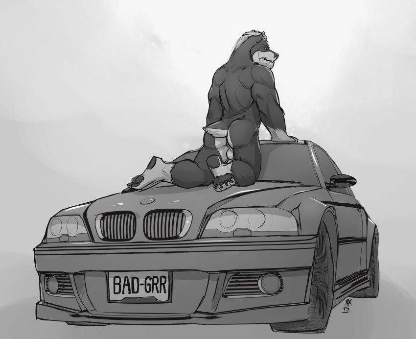 1boy 2015 anthro ass backsack badger balls bauson black_fur bmw car claws fangs fur furry greyscale highres kneeling looking_at_viewer looking_back male male_only mammal monochrome multicolored_fur muscular muscular_male mustelid nude rear_view rrowdybeast simple_background smile solo toe_claws two_tone_fur vehicle white_fur