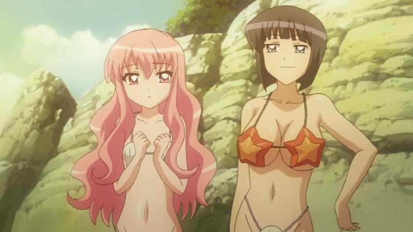 2girls animated beach bikini black_hair blue_eyes bouncing_breasts breasts hand_on_hip large_breasts long_hair louise_francoise_le_blanc_de_la_valliere medium_breasts multiple_girls official_copyright pink_eyes pink_hair screencap seashell_bra shell shell_bikini short_hair siesta small_breasts star swimsuit zero_no_tsukaima