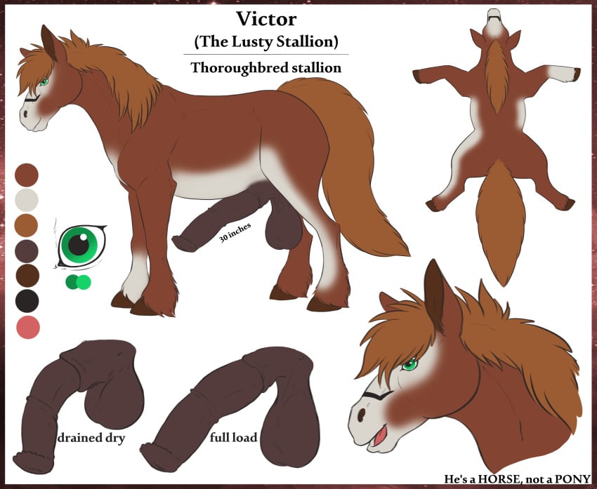 animal_genitalia animal_penis balls black_fur brown_fur brown_hair equine erection feral feral_only full-length_portrait full_length fur green_eyes hair hooves horse horseballs horsecock lady-darkstreak male mammal model_sheet penis portrait sagging_balls solo standing the_lusty_stallion vyktor_dreygo white_fur