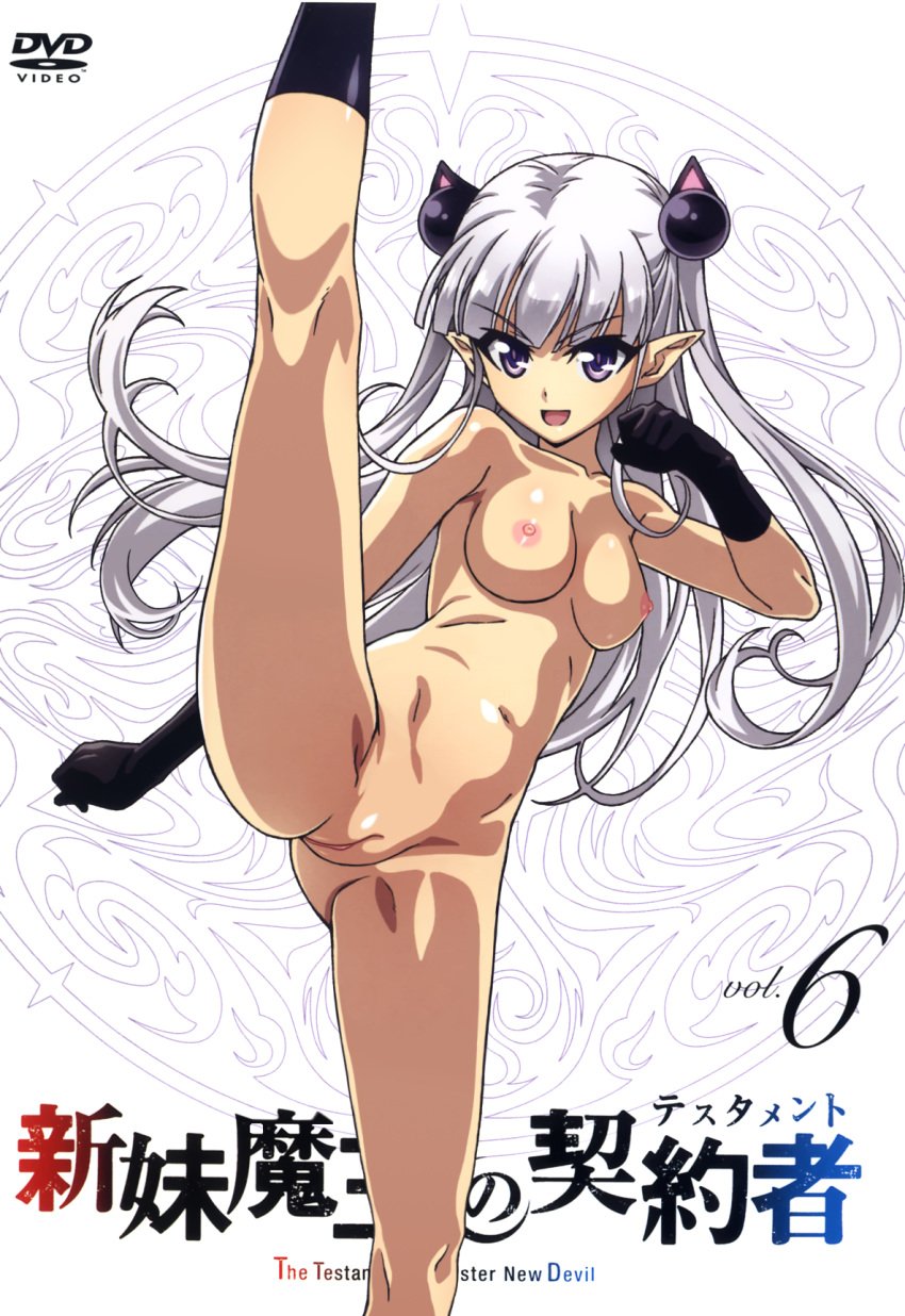 dvd_label innie_pussy naruse_maria nipples nude photoshop pointy_ears pussy shinmai_maou_no_testament succubus tail uncensored watanabe_yoshihiro