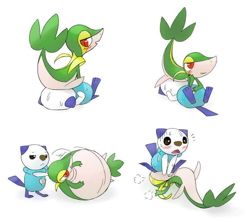 Oshawott (Nintendo) Rule 34 Image