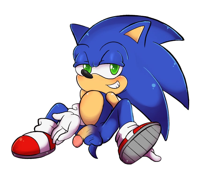 1boy alpha_channel animal_humanoid anthro ass balls cat_humanoid clothing feline footwear gloves hedgehog humanoid looking_at_viewer male male_only mammal nude penis presenting_penis quills seductive_look seductive_smile shoes simple_background sitting smile solo sonic_(series) sonic_the_hedgehog sonictopfan spread_legs spreading transparent_background video_games