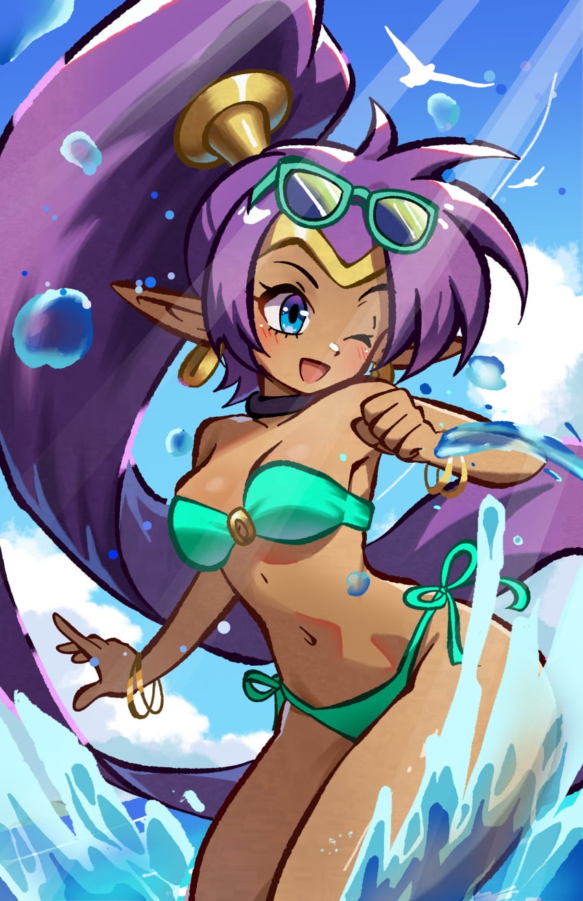 Shantae (Character) Rule 34 Image