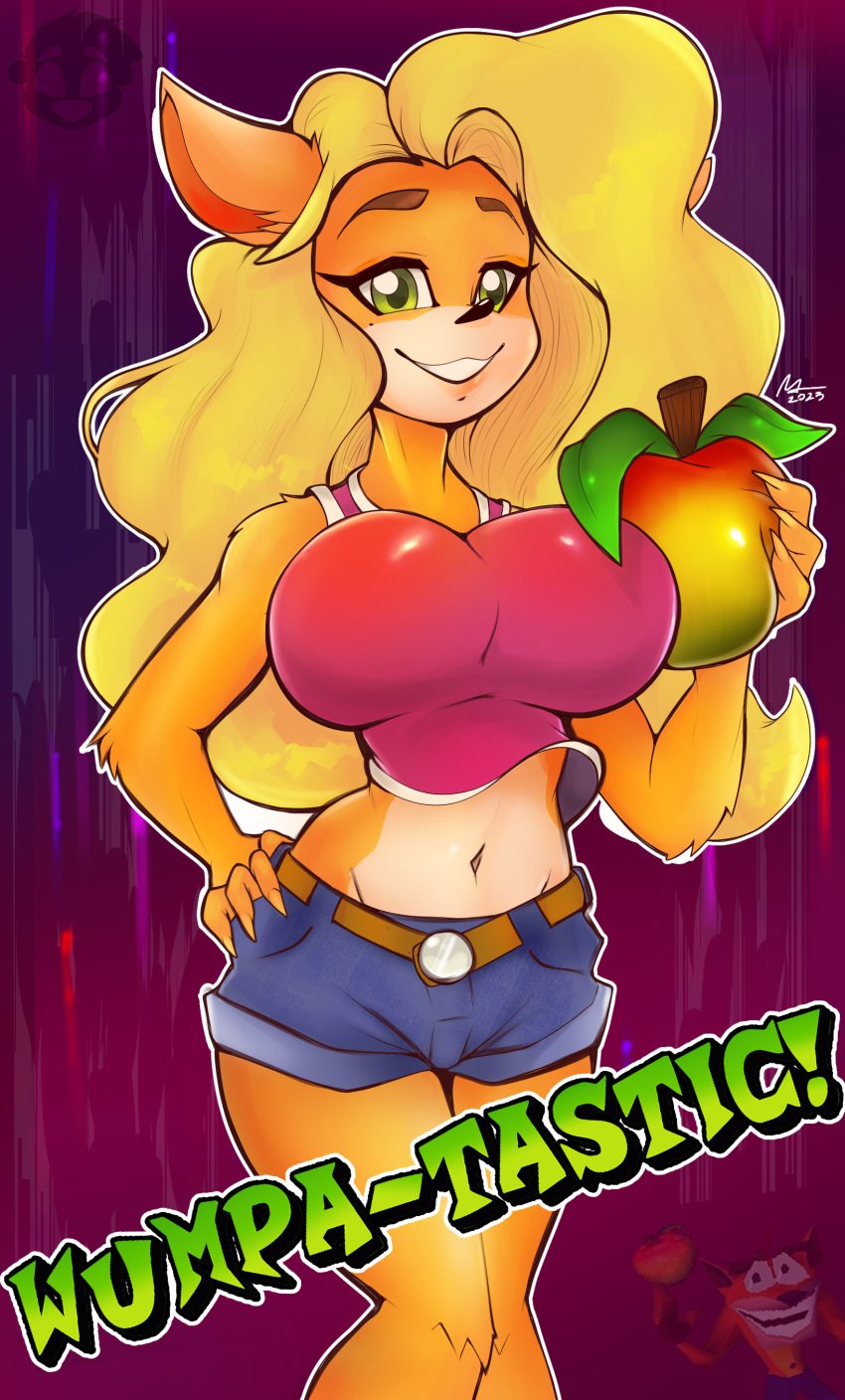 1boy 1boy1girl 1girls bandicoot big_breasts breasts clothed clothing color crash_(series) crash_bandicoot english_text female female_focus furry green_eyes hi_res humanoid jean_shorts large_breasts long_hair looking_at_viewer male male/female naughty_dog ottendo smile smiling tagme tawna_bandicoot text thick_thighs wumpa_fruit yellow_hair