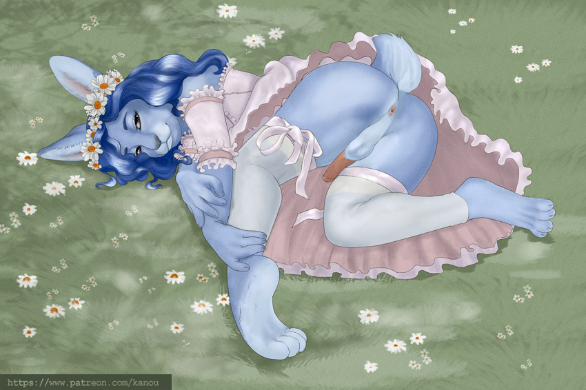 anthro ass blue_fur blue_hair clothing cute dickgirl dress flower fur girly hair intersex kanou lagomorph long_hair male mammal penis plant rabbit skirt