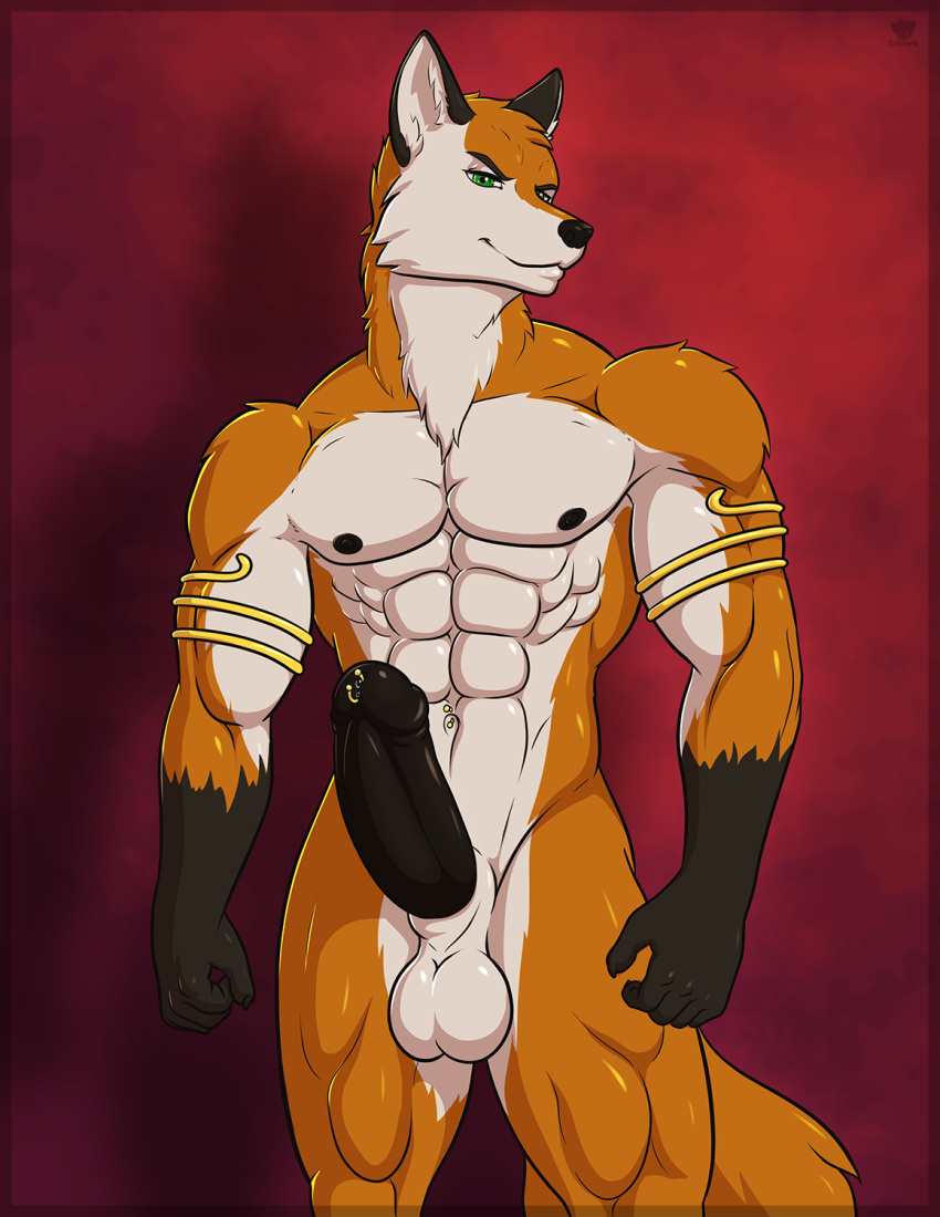 1boy 2016 abs anthro armband balls biceps black_penis canine fox genital_piercing green_eyes hyndis invalid_tag looking_at_viewer male male_only mammal muscular muscular_male navel navel_piercing nude pecs penis penis_piercing piercing precum smile solo tridark